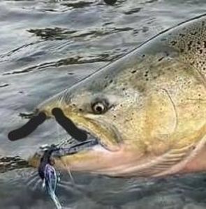 Meet your Posher, Ray